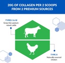 biotrust-tri-collagen-powder---3-in-1-hy-3.jpg
