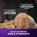 muscletech-high-protein-mass-gainer-trip-4.jpg