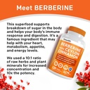 21-in-1-berberine-supplement-with-ceylon-4.jpg