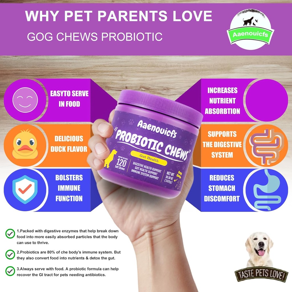 probiotics-for-dogsdog-probiotics-and-di-3.jpg