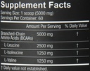 core-nutritionals-bcaa-dietary-supplemen-4.jpg