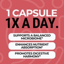 gut-balance-capsules-with-fulvic-acid-su-4.jpg