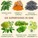 organic-non-gmo-moringa-shilajit-turmeri-4.jpg