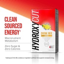 hydroxycut-drink-mix-lemonade---21-trave-2.jpg