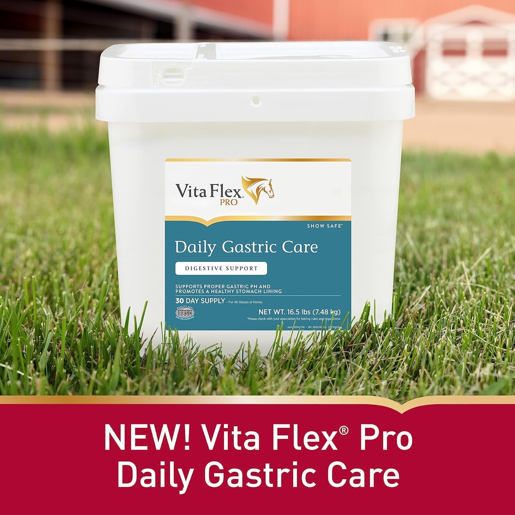 vita-flex-pro-daily-gastric-care-show-sa-2.jpg