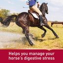 vita-flex-pro-daily-gastric-care-show-sa-5.jpg