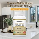riboflavin-vitamin-b2-supplement---b-2-v-3.jpg