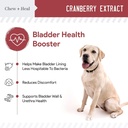 digestive-enzymes-and-probiotics-and-cra-2.jpg