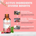 glucosamine-chondroitin-msm-liquid-drops-2.jpg