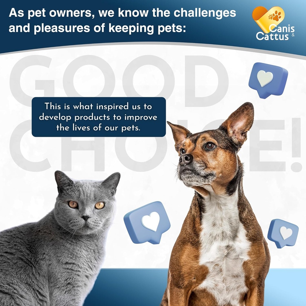 cat-supplement-support-for-dogs-dog-herb-3.jpg