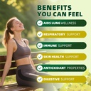 catfit-mullein-gummies-for-lungs-mullein-5.jpg