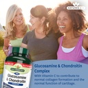 glucosamine-500mg-chondroitin-100mg-comp-2.jpg