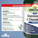 glucosamine-500mg-chondroitin-100mg-comp-5.jpg