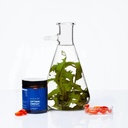 eimele-optimal-omega-plant-based-omega-3-5.jpg