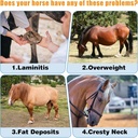 insulin-resistance-supplement-for-horses-4.jpg