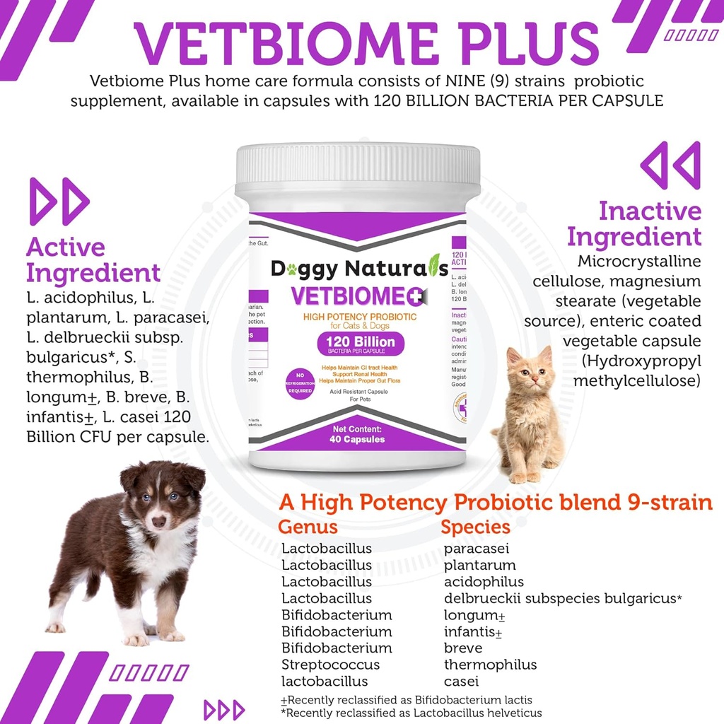 vetbiome-plus-high-potency-probiotics-fo-2.jpg