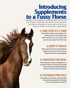 pennwoods-joint-gi-advanced-horse-supple-5.jpg