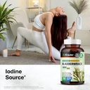 bio-krauter-goldenseal-100-capsules-blad-6.jpg
