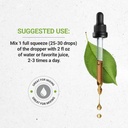 bacopa-usda-organic-alcohol-free-extract-3.jpg