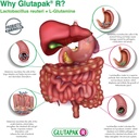 digestive-health-powder-with-l-glutamine-4.jpg