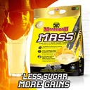 interactive-nutrition-mammoth-mass-suppl-3.jpg