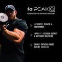 jacked-factory-build-xt-daily-muscle-bui-2.jpg