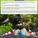 sungrow-shrimp-rocks-calcium-magnesium-r-3.jpg