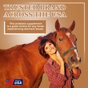 equerrys-sand-master-horse-supplement----6.jpg