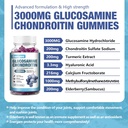 2-pack-3000mg-glucosamine-chondroitin-wi-2.jpg