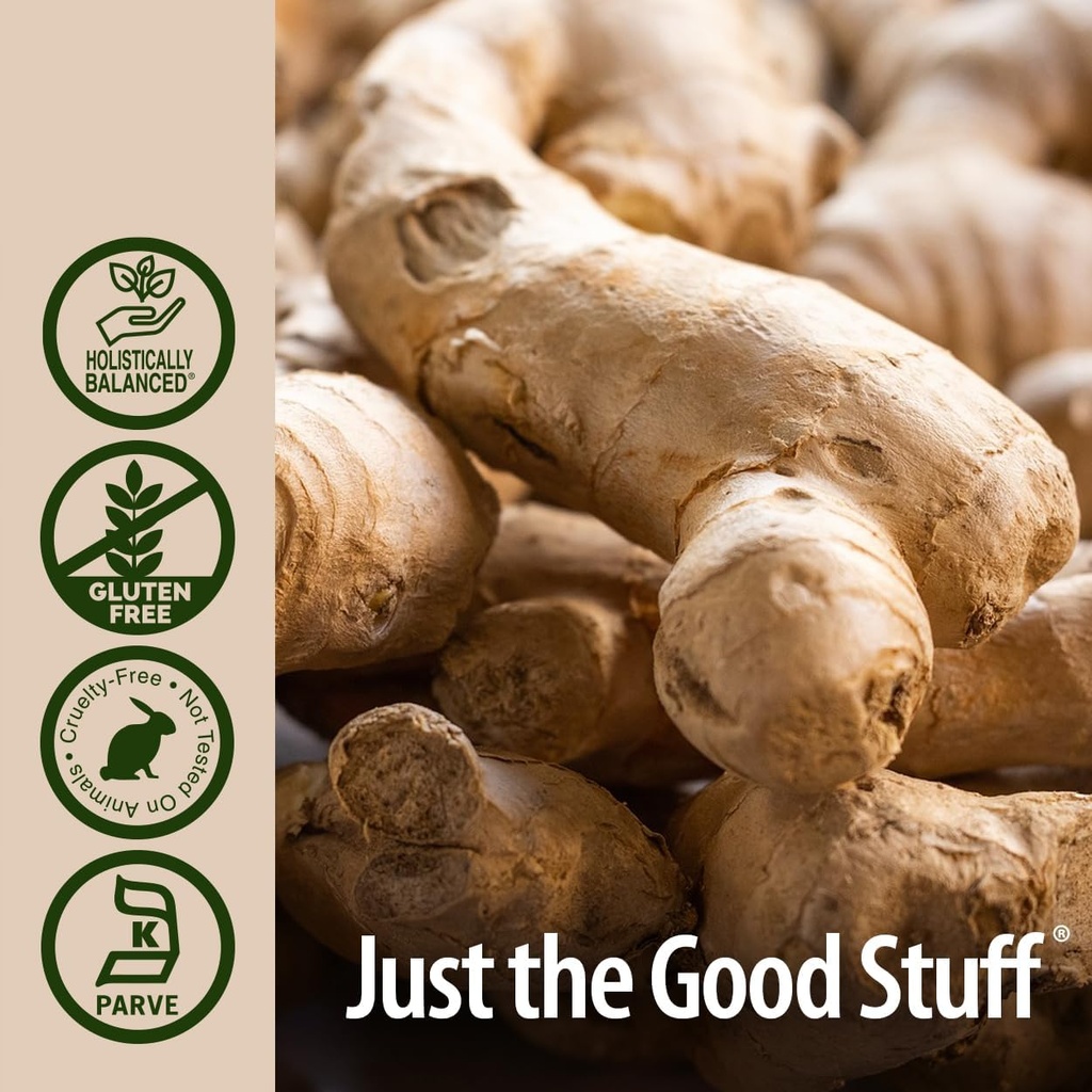 natures-answer-ginger-with-organic-alcoh-4.jpg