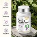 vev-nad-supplement-liposomal-nad-supplem-4.jpg