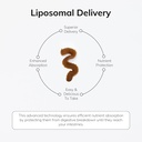 liposomal-supplement-for-post-workout-ro-6.jpg
