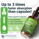 2-lemon-balm-extract-drops-liquid-2000mg-4.jpg