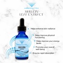 absonutrix-mullein-300-mg-4-oz-liquid-30-6.jpg