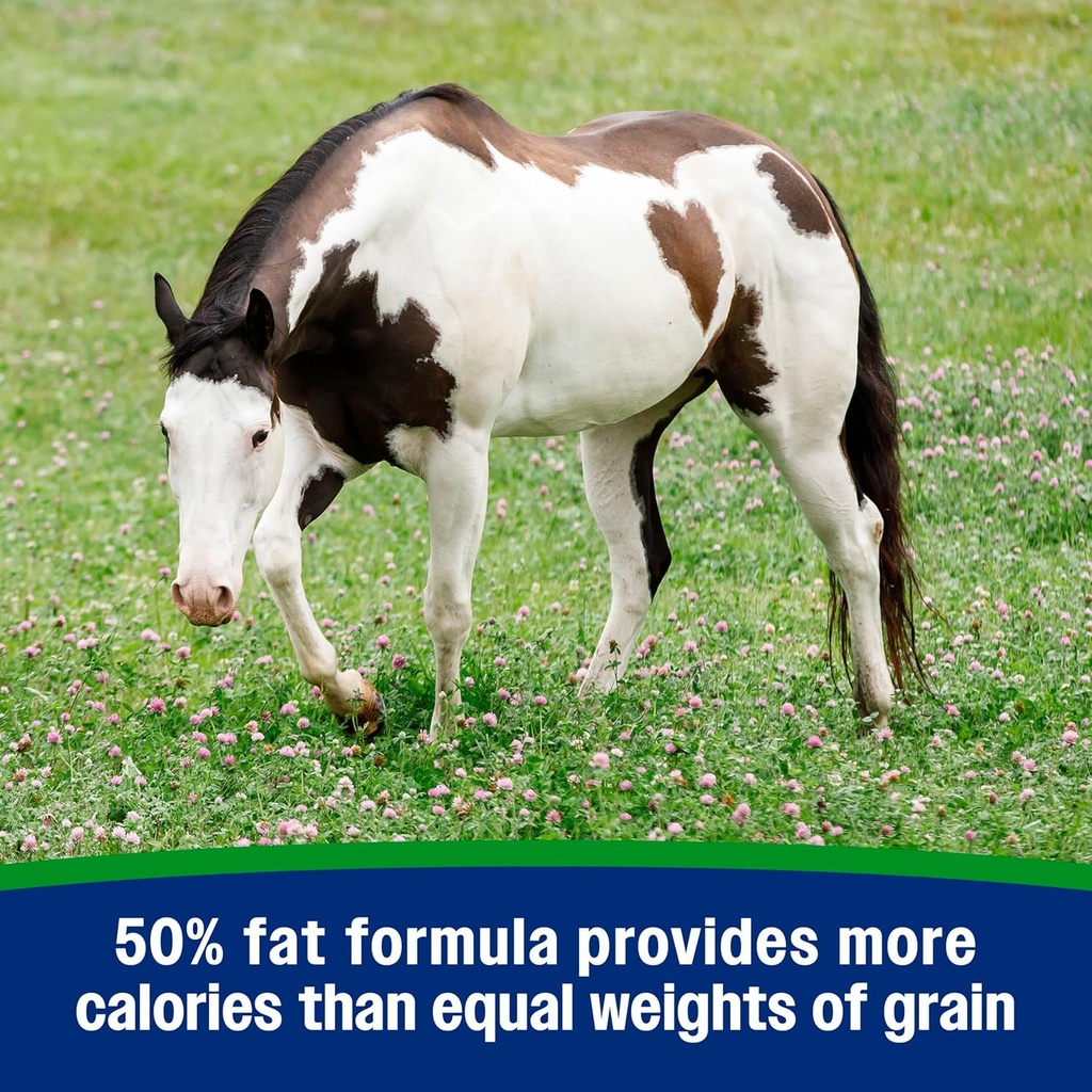 farnam-weight-builder-support-supplement-5.jpg