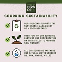 monterey-bay-herb-co-pau-darco-herbal-te-5.jpg