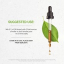 secrets-of-the-tribe-blue-vervain-usda-o-3.jpg