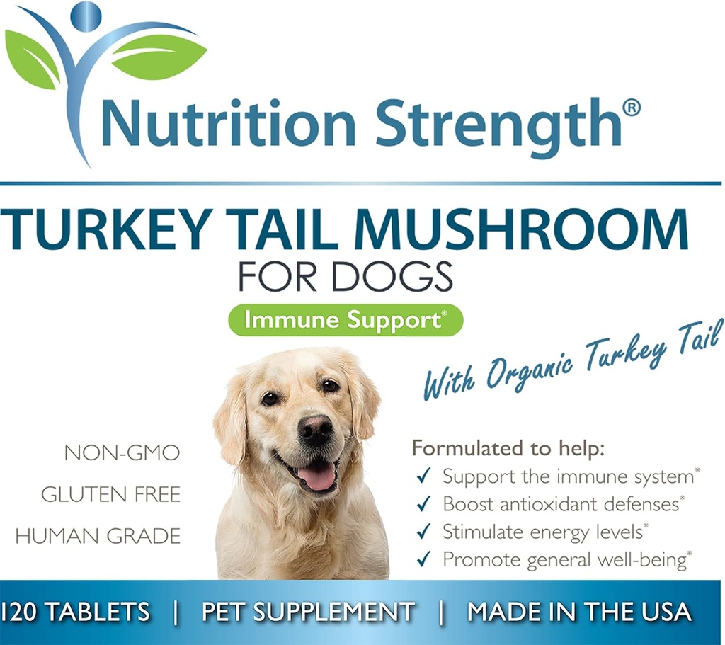 turkey-tail-mushroom-for-dogs-to-support-6.jpg