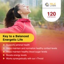 rlc-a-drenal-adrenal-support-for-stress--4.jpg