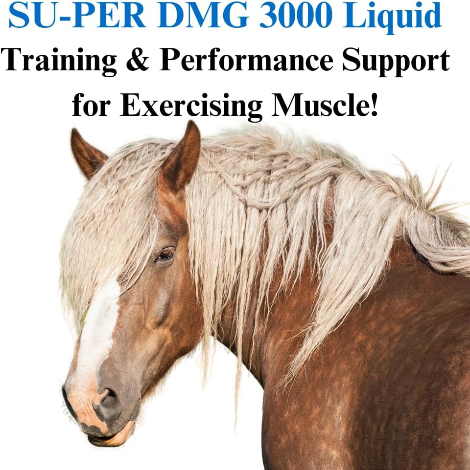 su-per-dmg-3000-horse-supplement---train-3.jpg