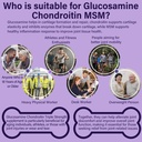 sugar-free-glucosamine-chondroitin-msm-1-4.jpg
