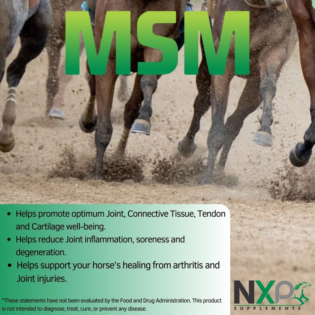 msm-methylsulfonylmethane---horse-joint--2.jpg