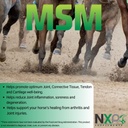 msm-methylsulfonylmethane---horse-joint--2.jpg