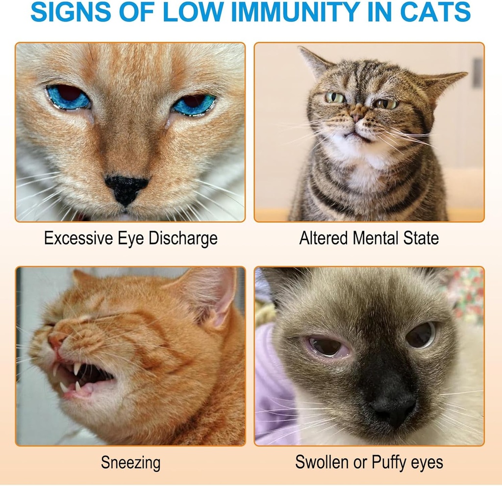 l-lysine-powder-for-cats-lysine-suppleme-6.jpg