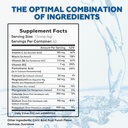 healblend-hydration-powder---electrolyte-6.jpg