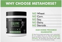 equine-pre-workout-calming-horse-vitamin-2.jpg