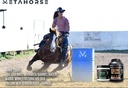 equine-pre-workout-calming-horse-vitamin-4.jpg