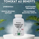 tongkat-ali-1000mg-extract-supplement--3-2.jpg