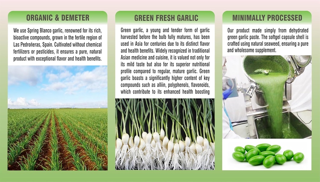 organic-green-garlic-potent-softgels-who-3.jpg