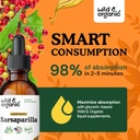 wild-organic-sarsaparilla-root-drops---d-4.jpg